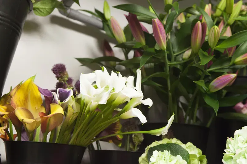 Fleurs pour monument à Welkenraedt