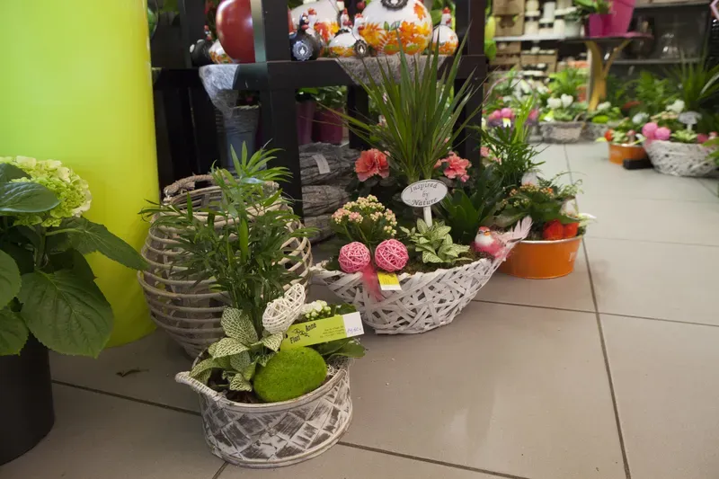 Livraison de fleurs à Welkenraedt